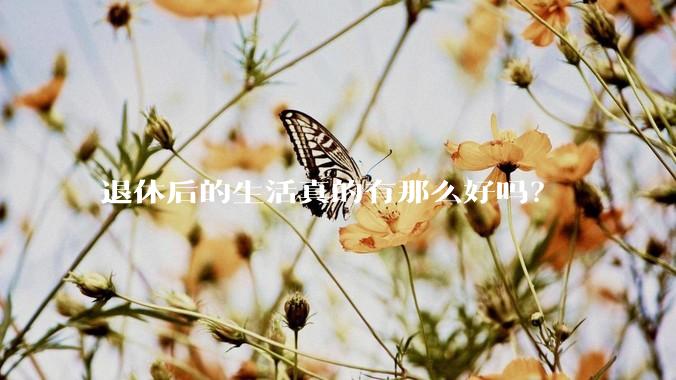 退休后的生活真的有那么好吗？