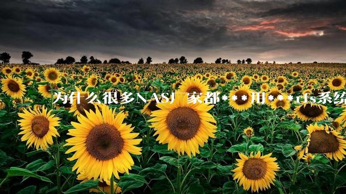 为什么很多NAS厂家都***用***rfs系统，而不是更稳定的zfs?
