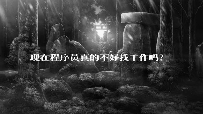 现在程序员真的不好找工作吗？