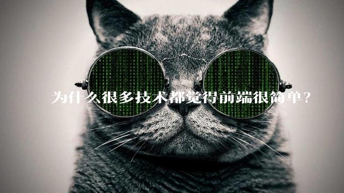 为什么很多技术都觉得前端很简单？