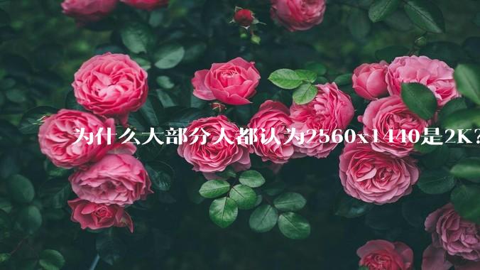 为什么大部分人都认为2560x1440是2K？